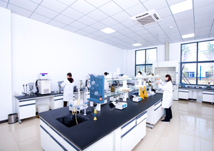 致力創新研發，倡導環境保護